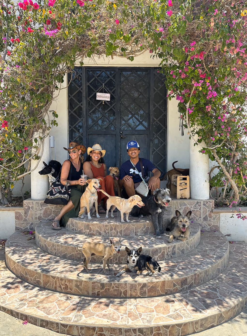 How do I prepare my dog for their first daycare day?