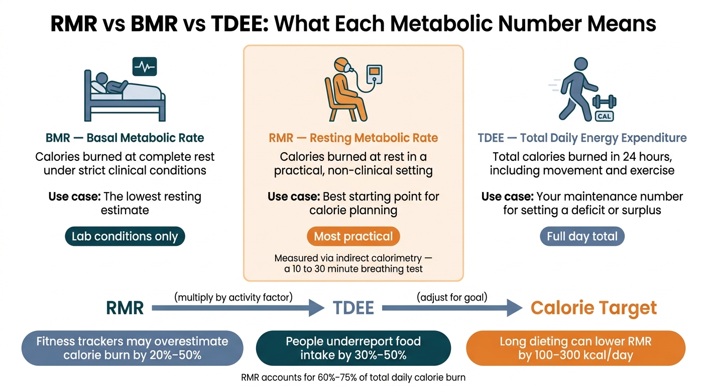 RMR vs BMR vs TDEE: What Each Metabolic Number Means