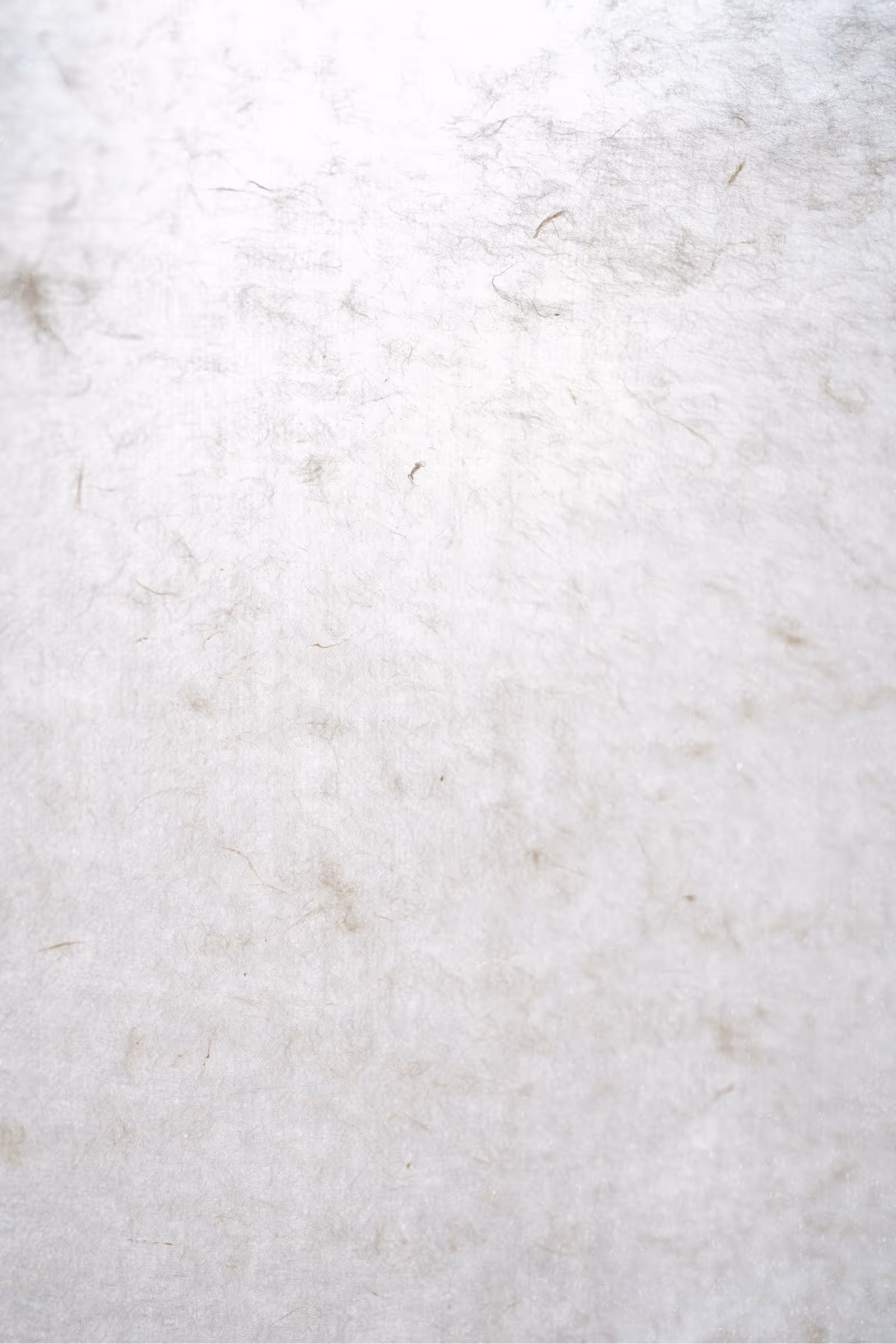 Close-up of natural fiber journal with light illuminating irregular paper fiber textures.