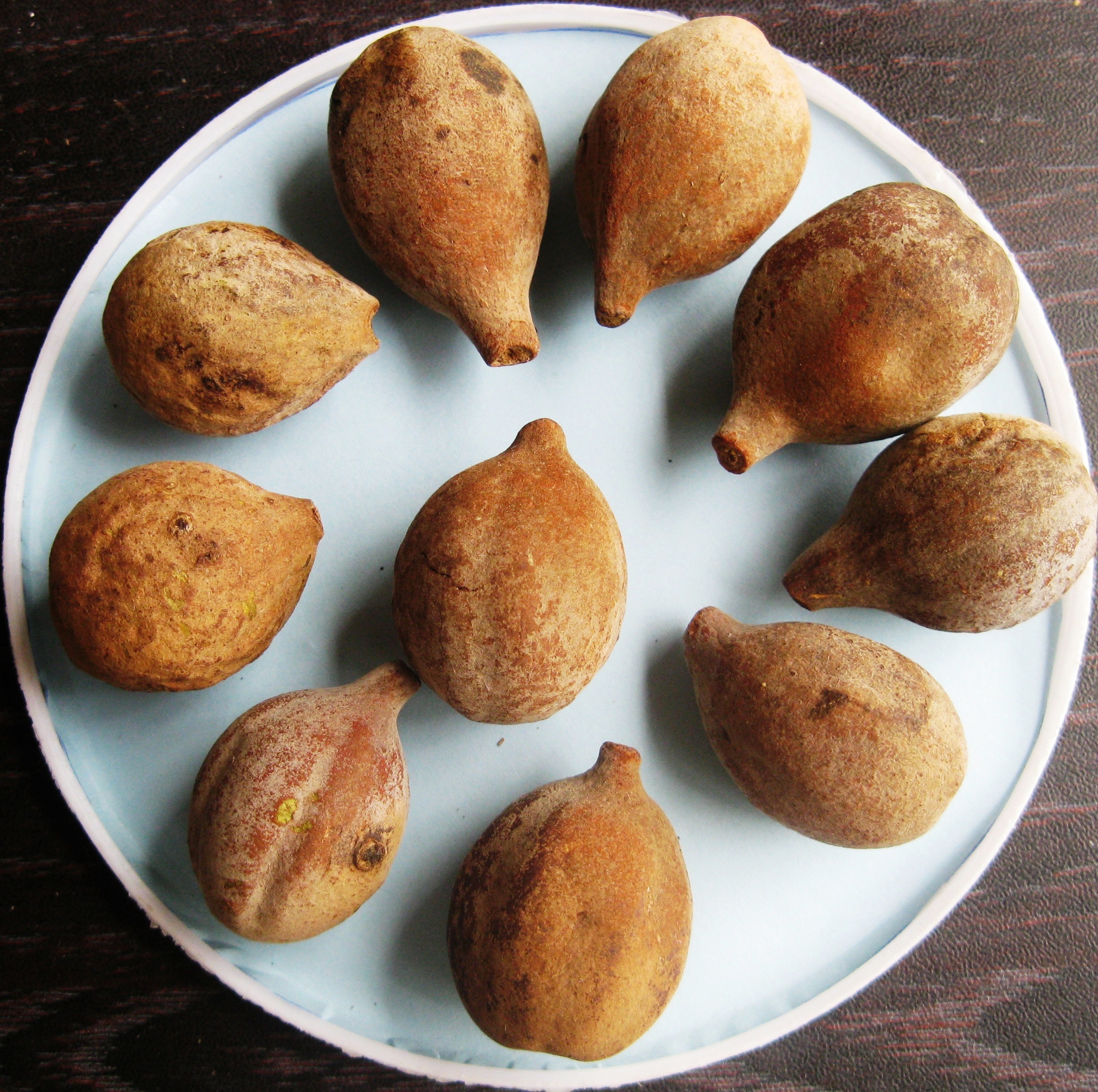 Bahera (Terminalia bellirica) fruits