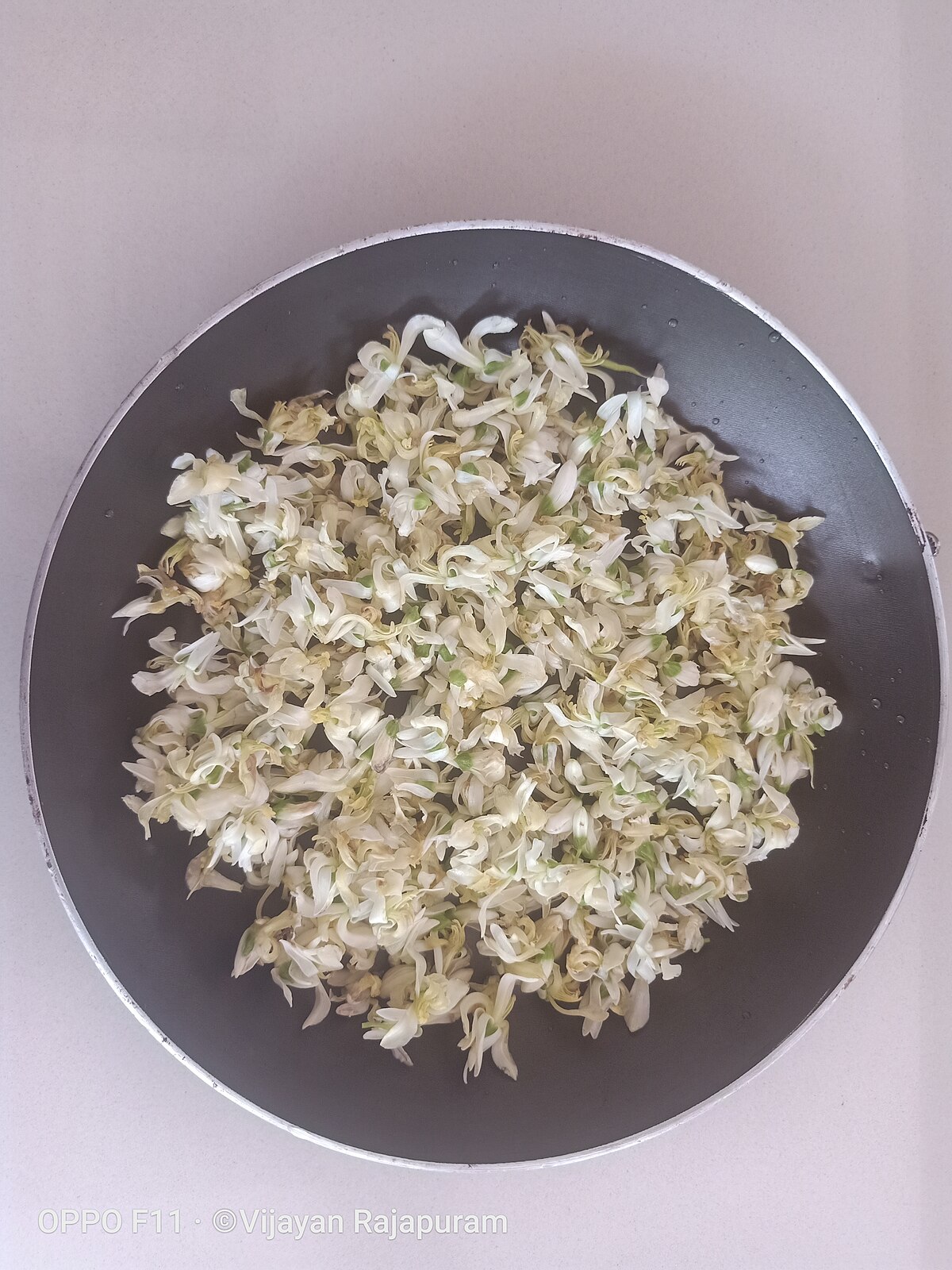 Moringa Oleifera flower ready for cooking