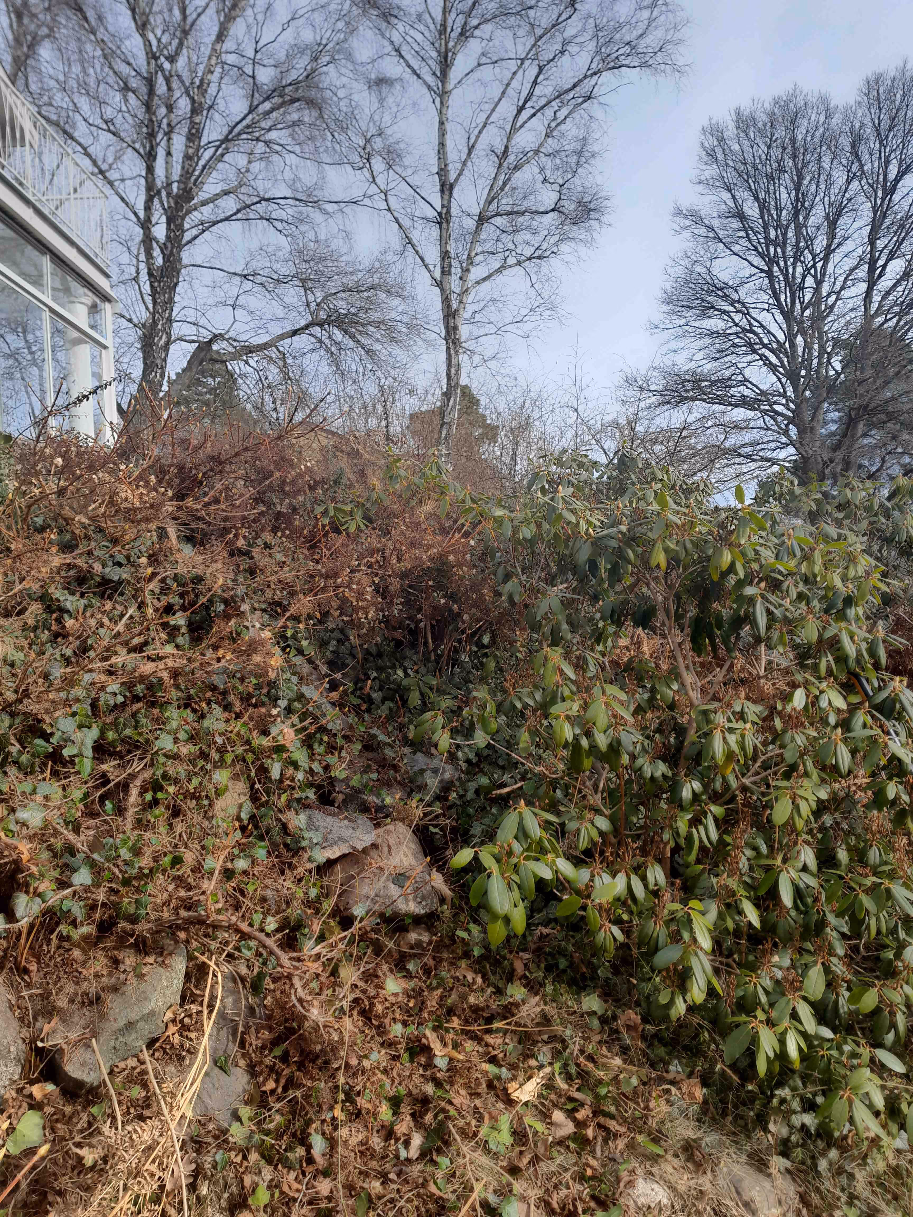 Höststädning och vinterförberedelser av din trädgård i stockholm