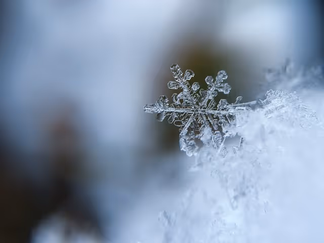 Vinterunderhåll i stockholm. Snöskottning, saltning av vägar under vintern