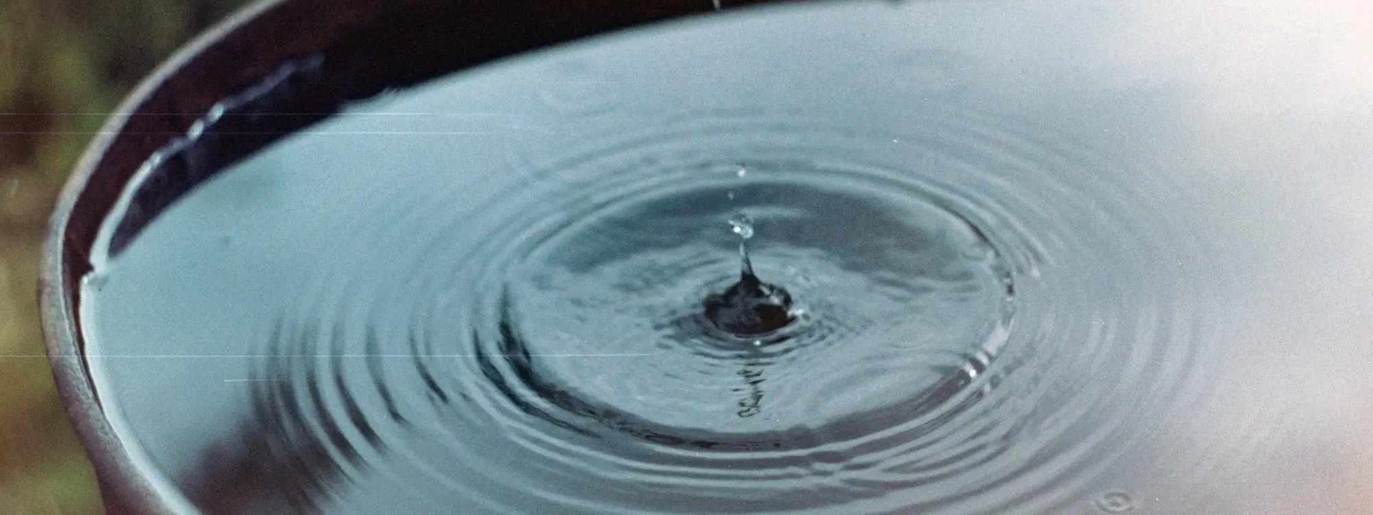 hjälp i trädgården