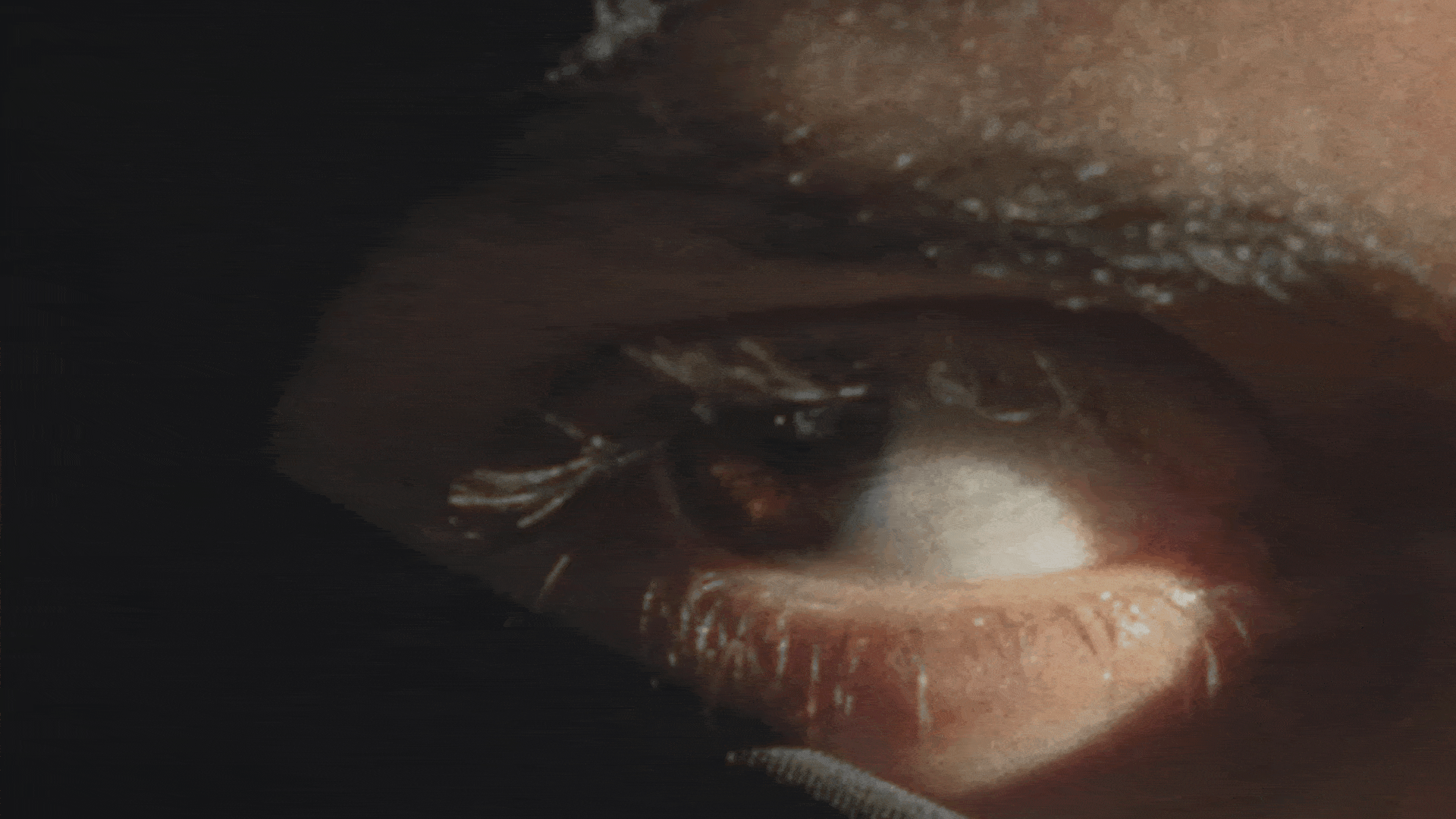 Closeup of a Thief. Advertisement video for a giveaway for a ceramics brand in Braga, Portugal.