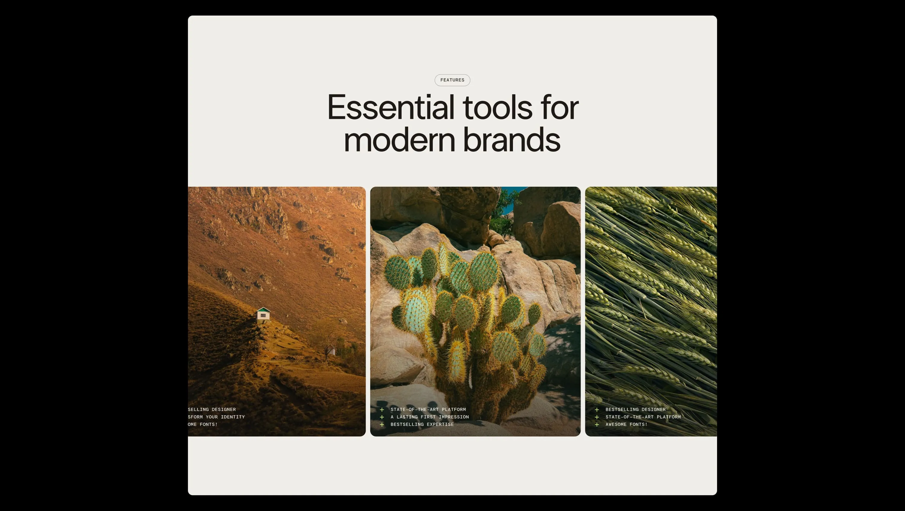 Screenshot of section from BYQ Supply highlighting a three-column visual layout perfect for eco-conscious or lifestyle brands.