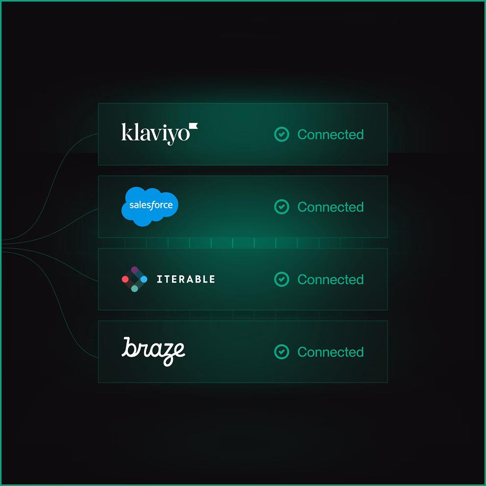 Four marketing platforms Klaviyo, Salesforce, Iterable, and Braze listed as connected with check marks.