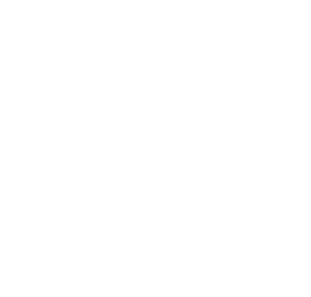 DocSecBox Logo