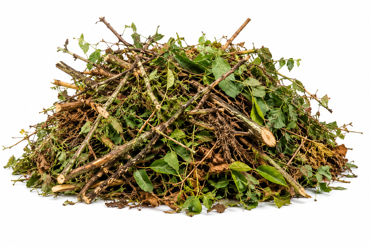 Yard Waste