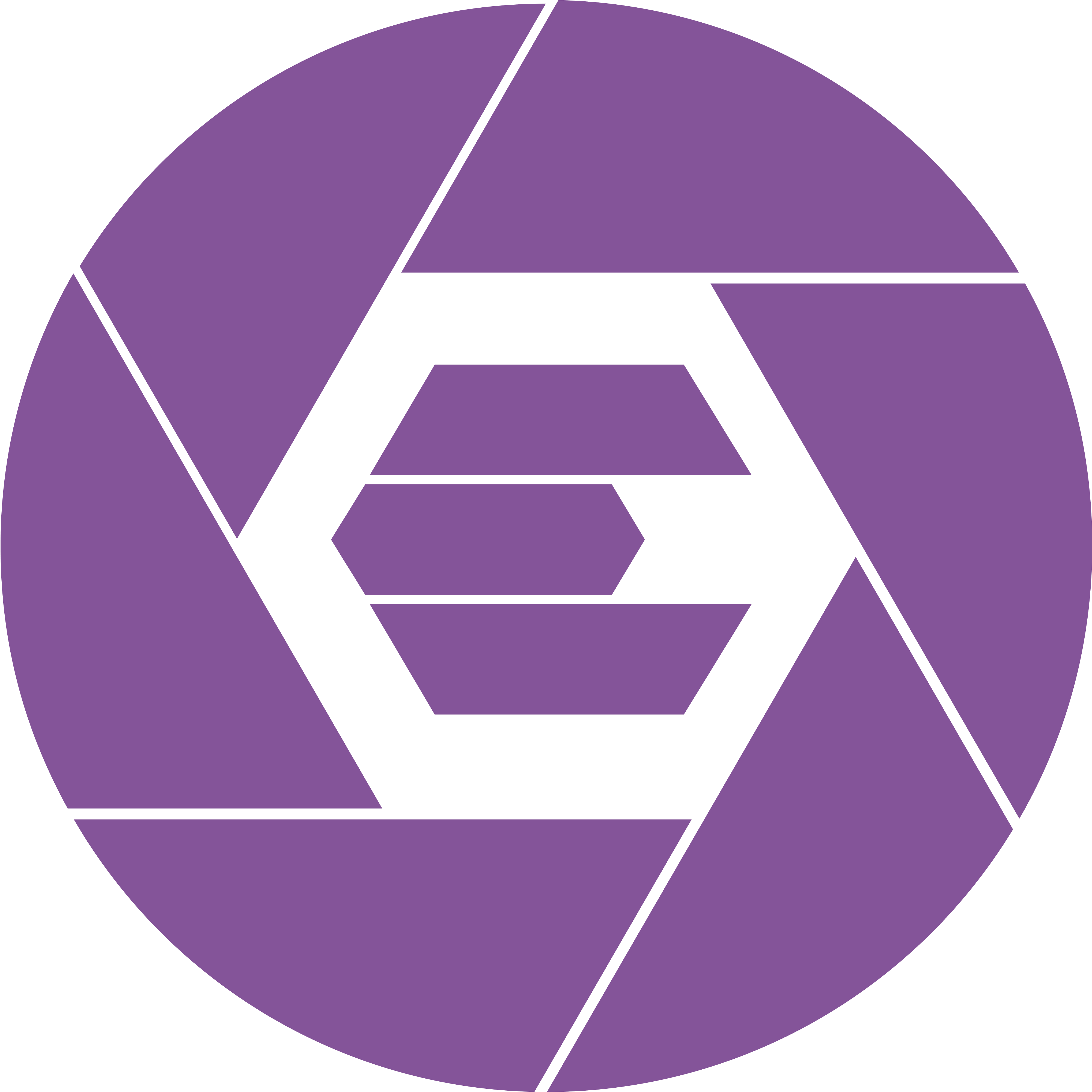 Stylized black letter E formed by geometric shapes within a circular segmented shape resembling a camera shutter.