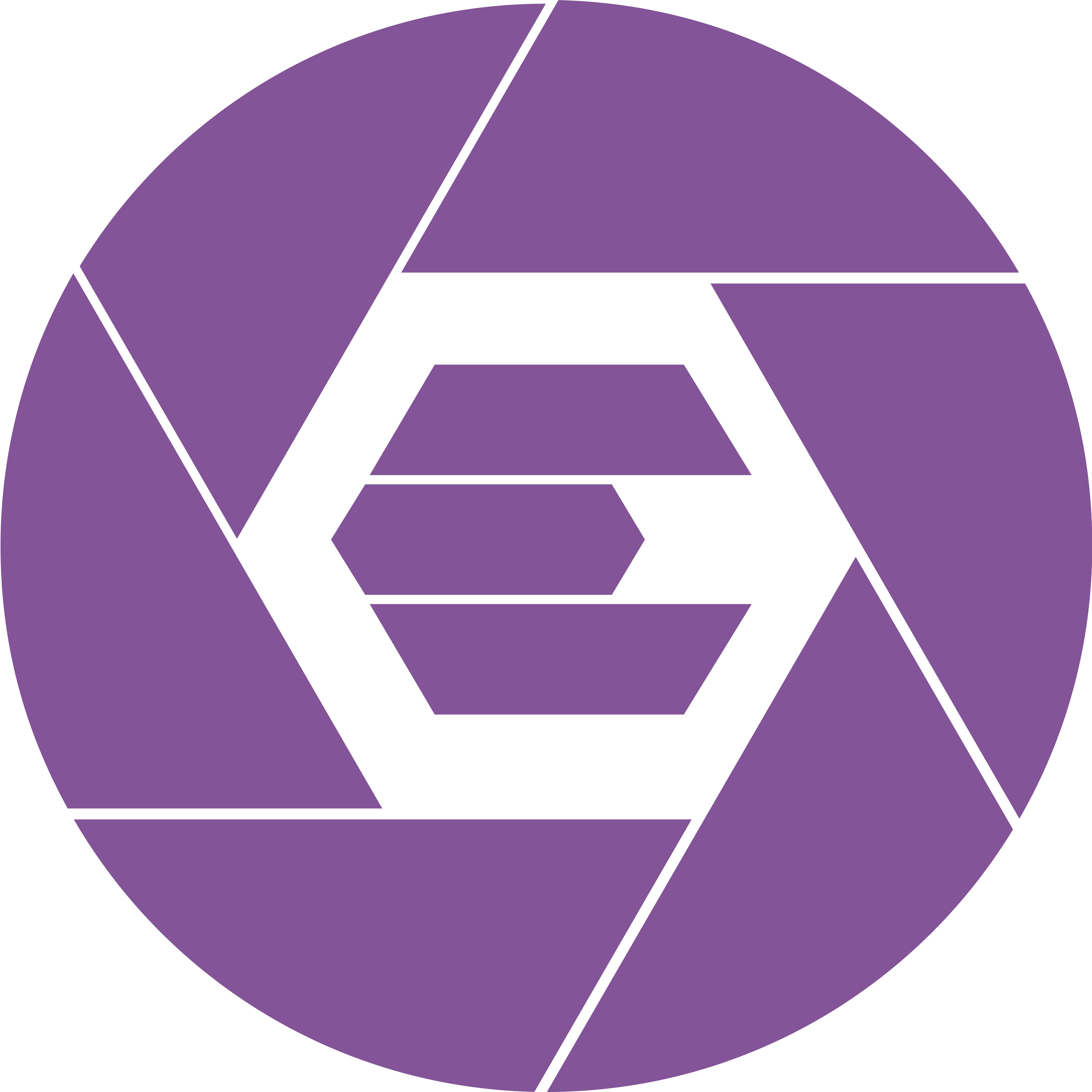 Stylized black letter E formed by geometric shapes within a circular segmented shape resembling a camera shutter.