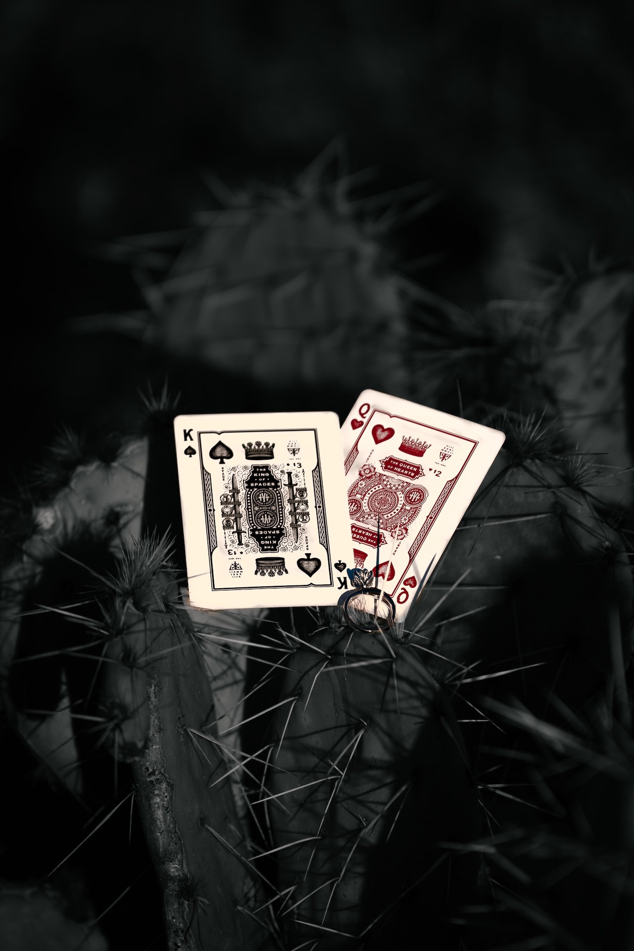 King of spades and queen of hearts playing cards placed on a cactus with a diamond ring.
