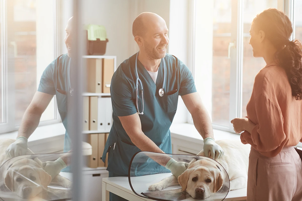 6 Ways to Increase Sales for Your Mobile Vet Clinic