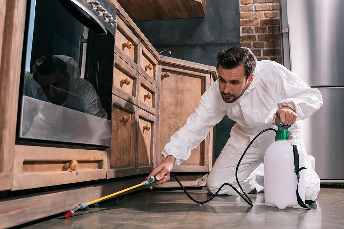 6 Ways to Increase Sales for Your Pest Control Business