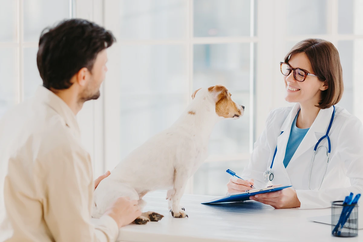 How to Deal With Late Payments in Your Mobile Vet Clinic
