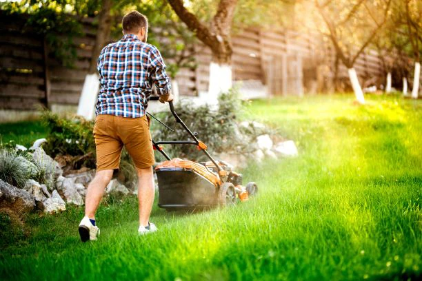 What is Lawn Care Software?