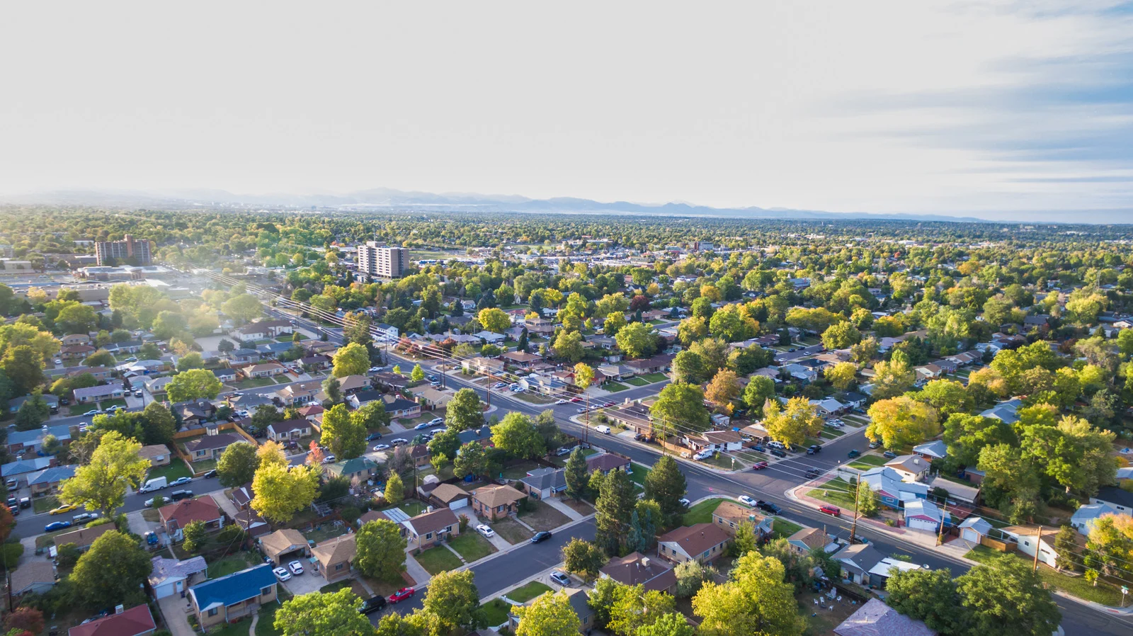 Aerial view of a suburban neighborhood with numerous houses and abundant green trees under a cloudy sky.