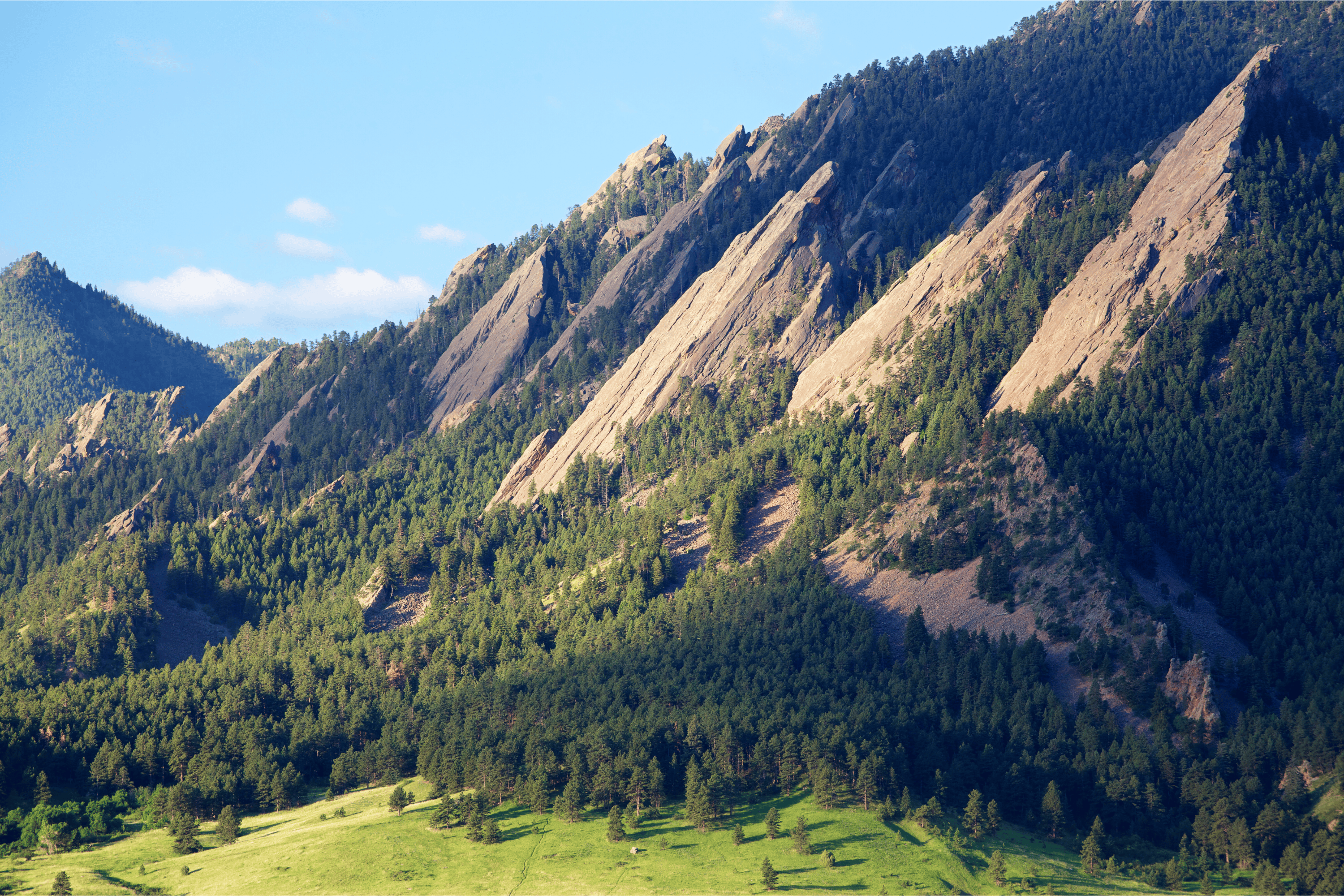 How Great HOAs Keep Homeowners Happy 