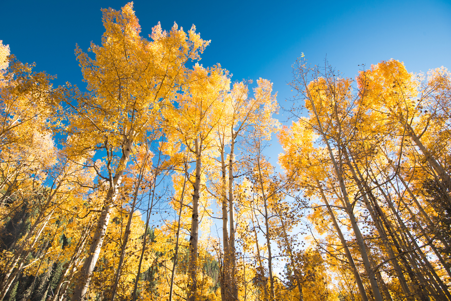 Steps to Take Before Changing Management Companies