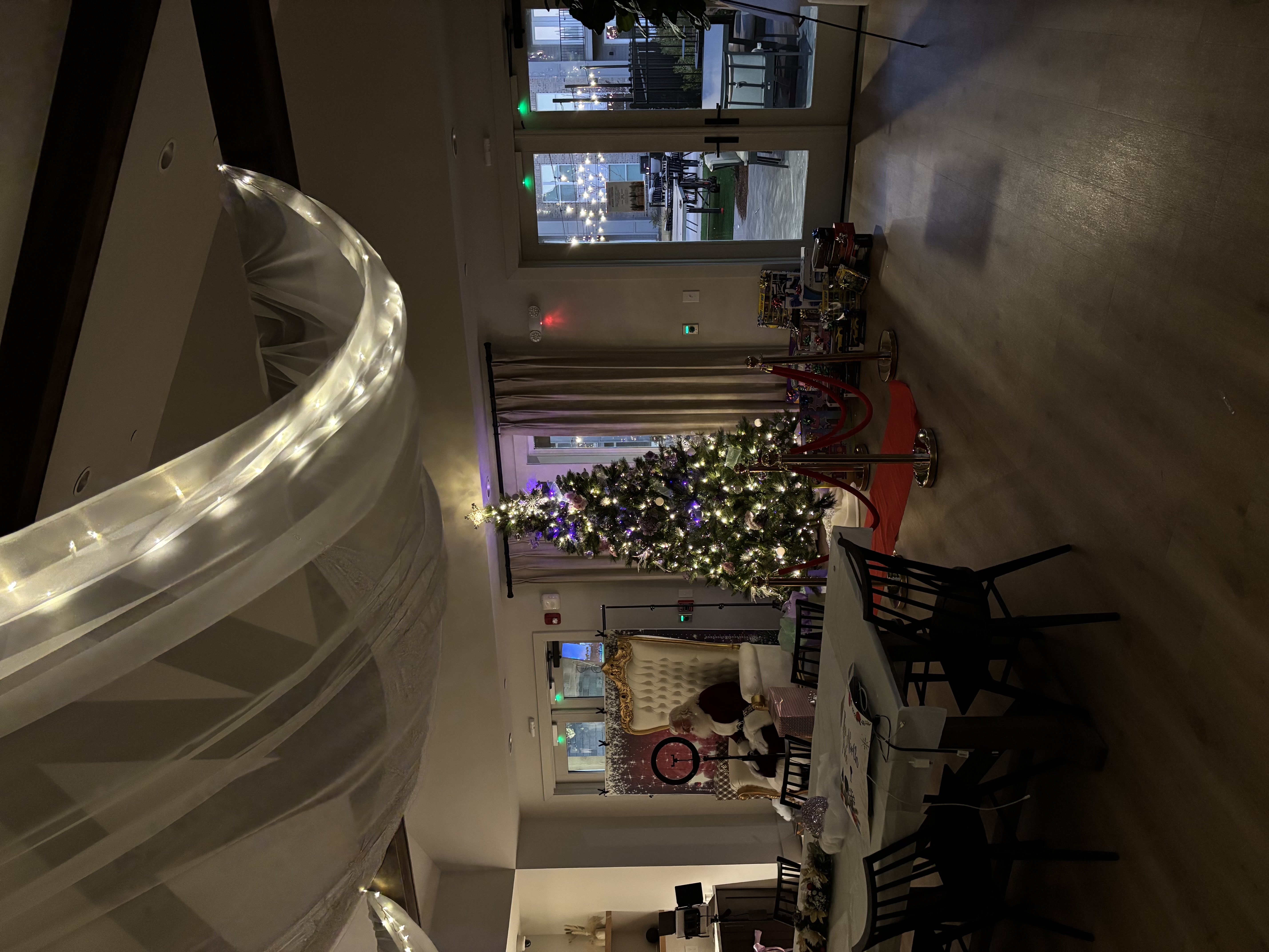 Winter Garden photo 1