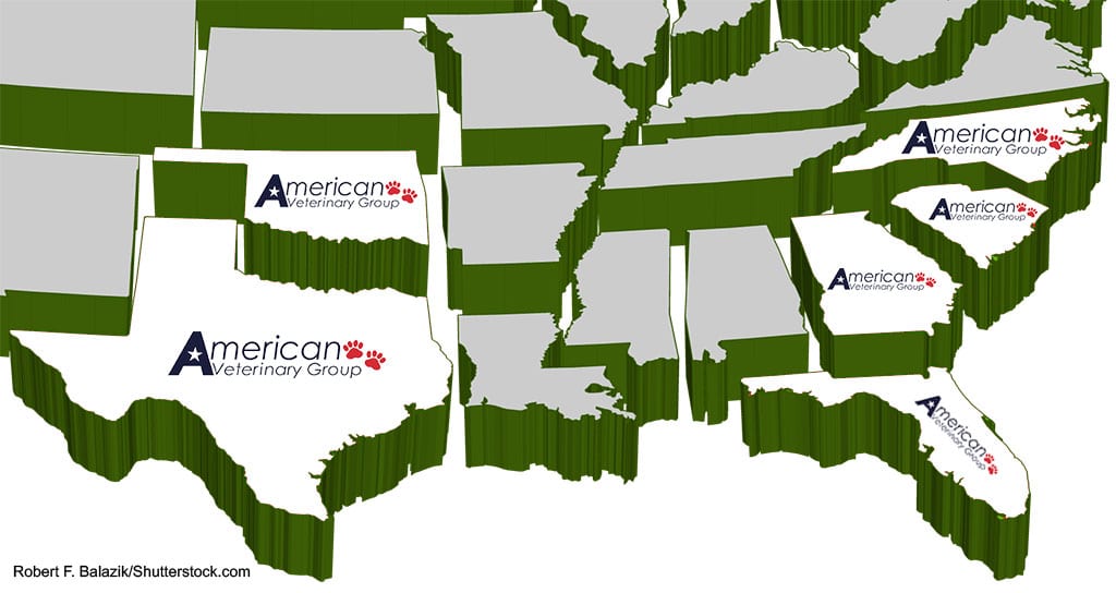 American Veterinary Group