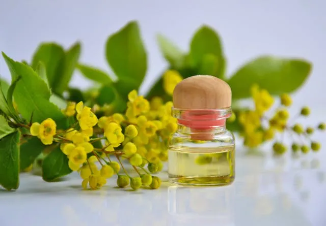 Herbal Medicine