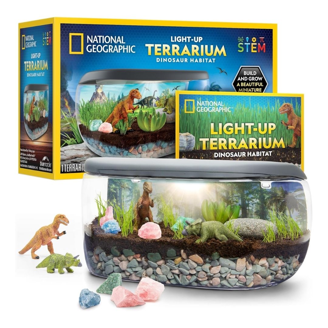 A light-up terrarium kit for kids to build a dinosaur habitat with real plants, gemstones, and dinosaur figurines.