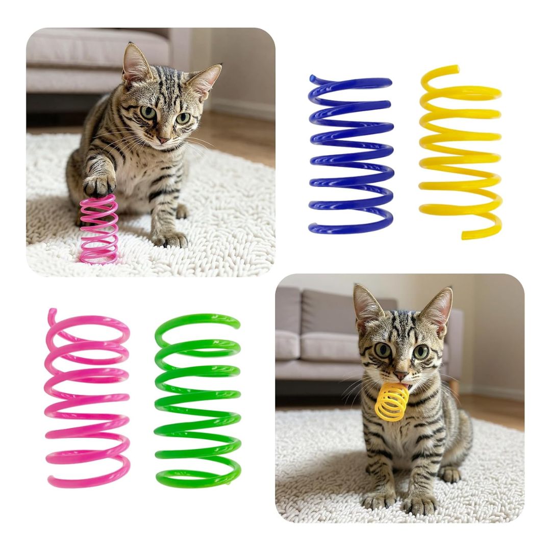 A set of colorful, durable spring coil toys for cats, designed for interactive play and available in multiple pack sizes and colors.
