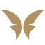 Stylised Butterfly icon Affect Advertising