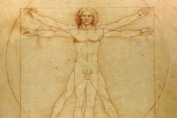Vitruvian man source: wikipedia