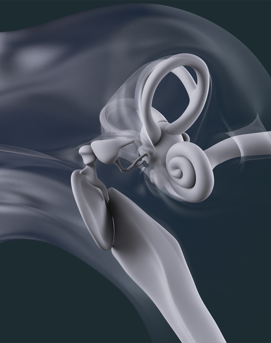 Designing an Interactive 3D Ear From Scratch