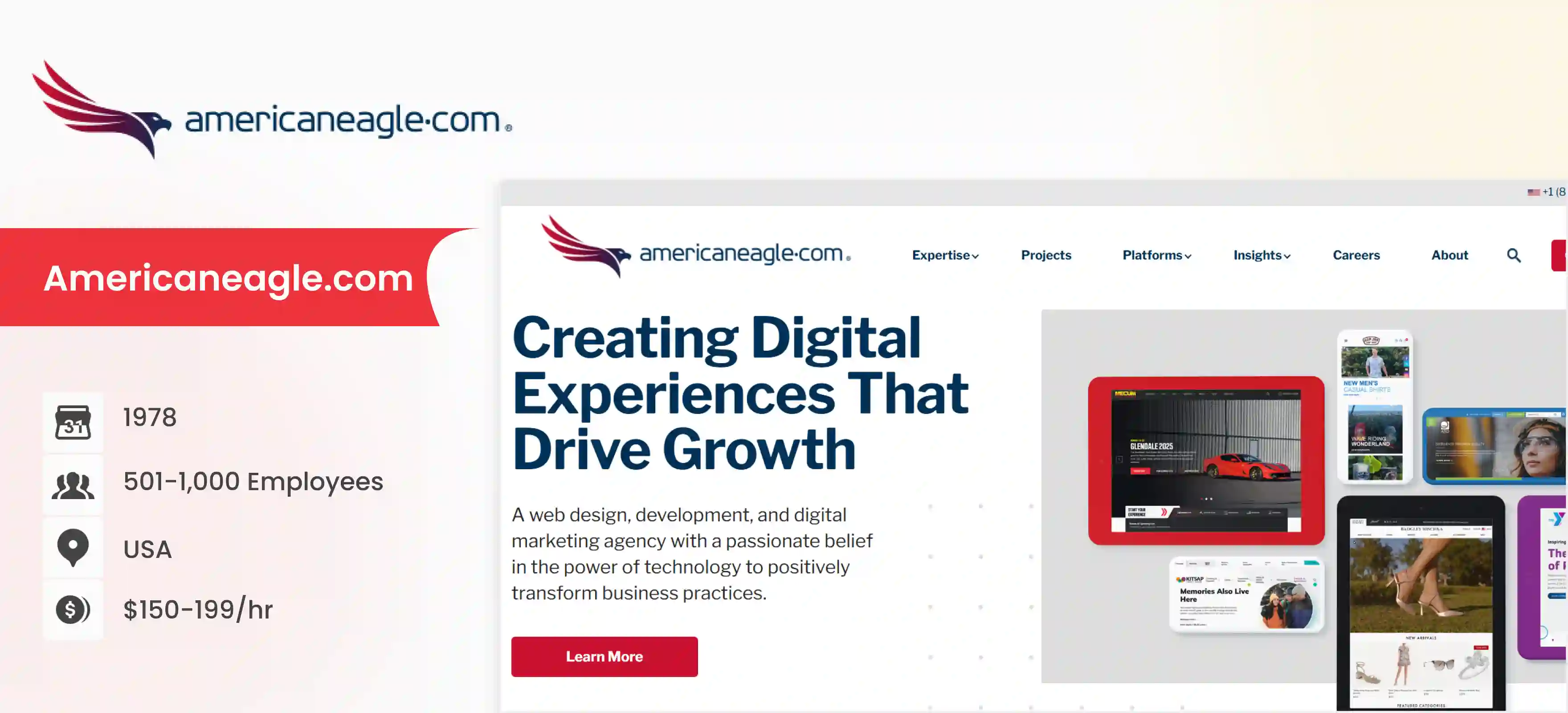 Drupal Development Company American Eagle