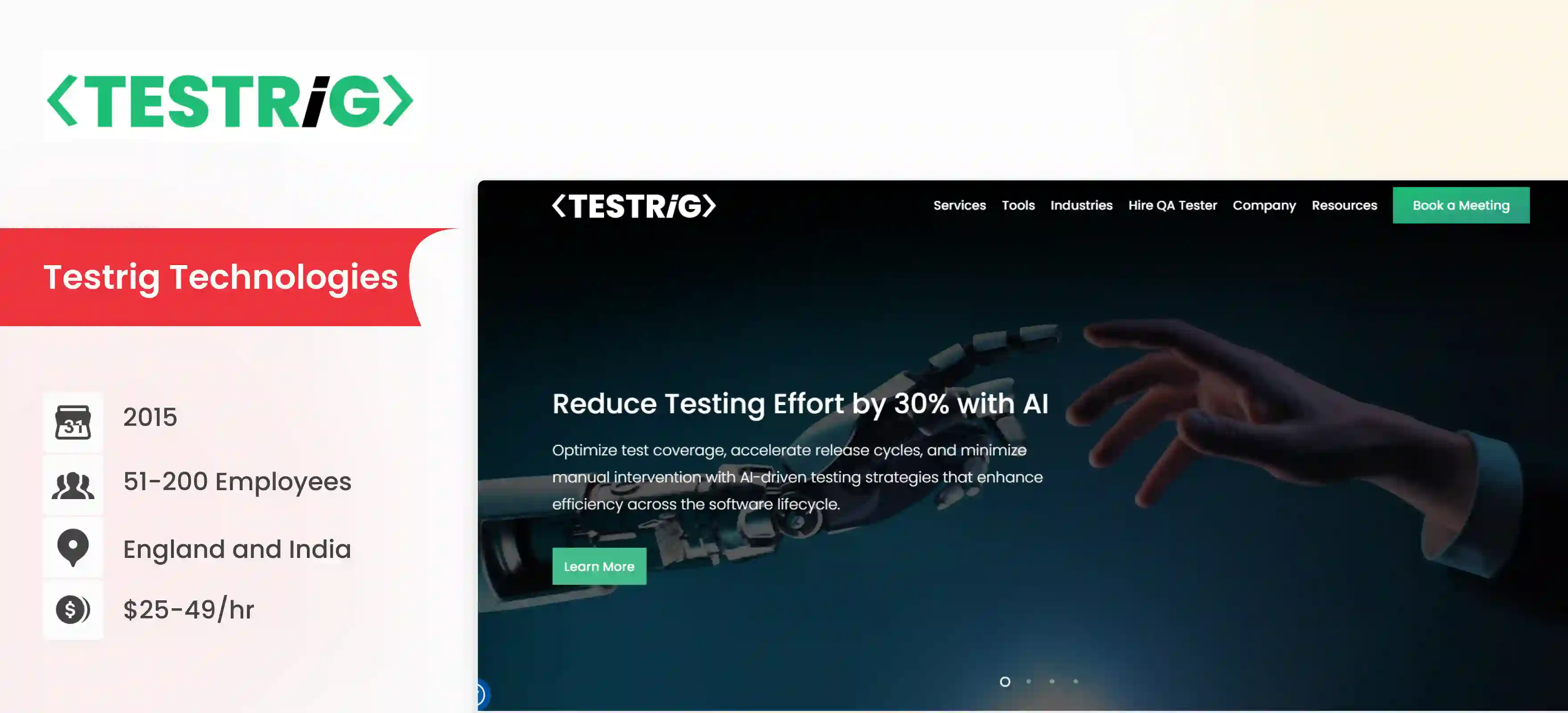 ai testing company Testrig Technologies