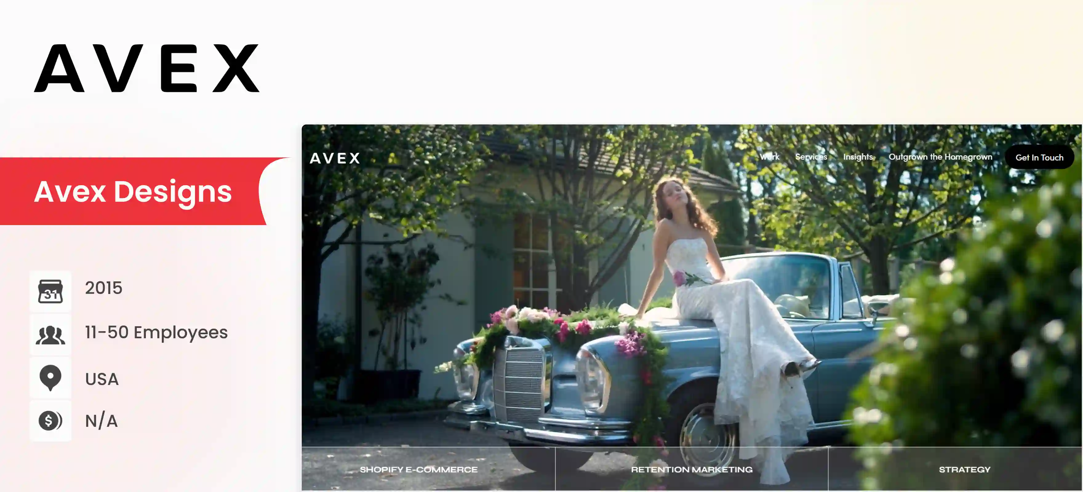 shopify development company Avex Designs