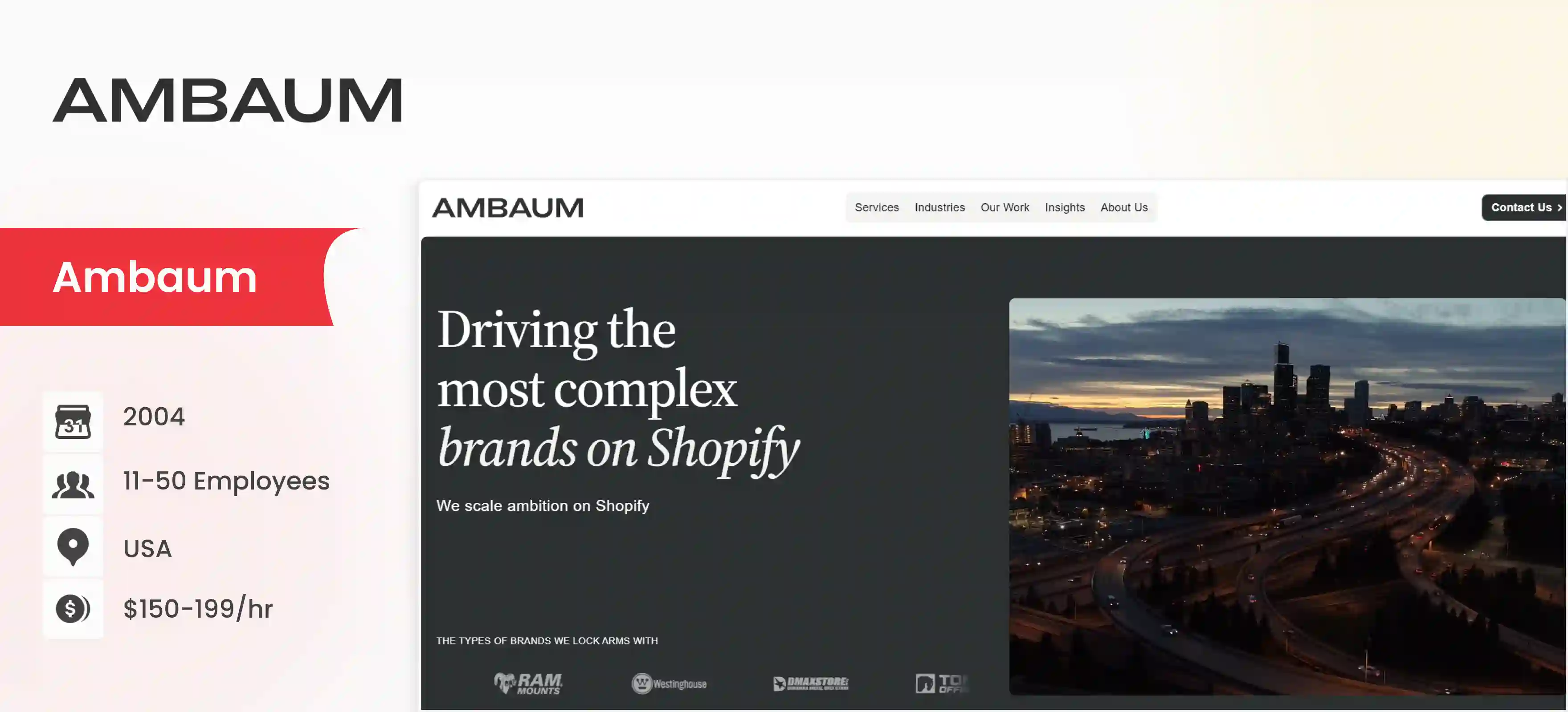 shopify development company Ambaum