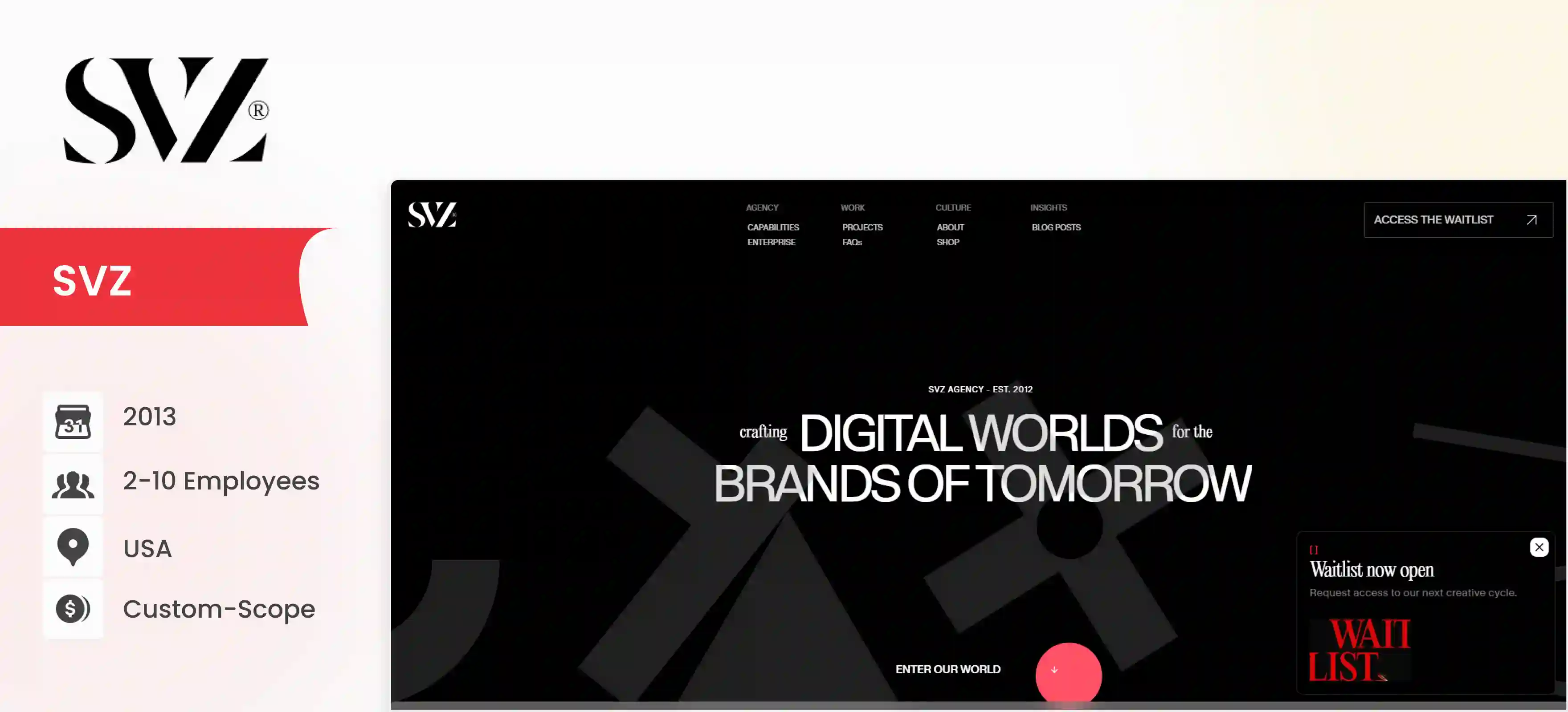 Webflow Development Company SVZ
