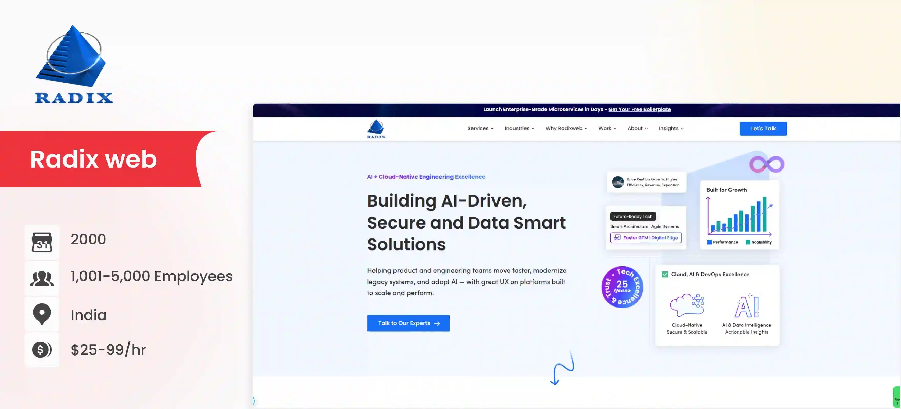 MVP Development Company Radix web