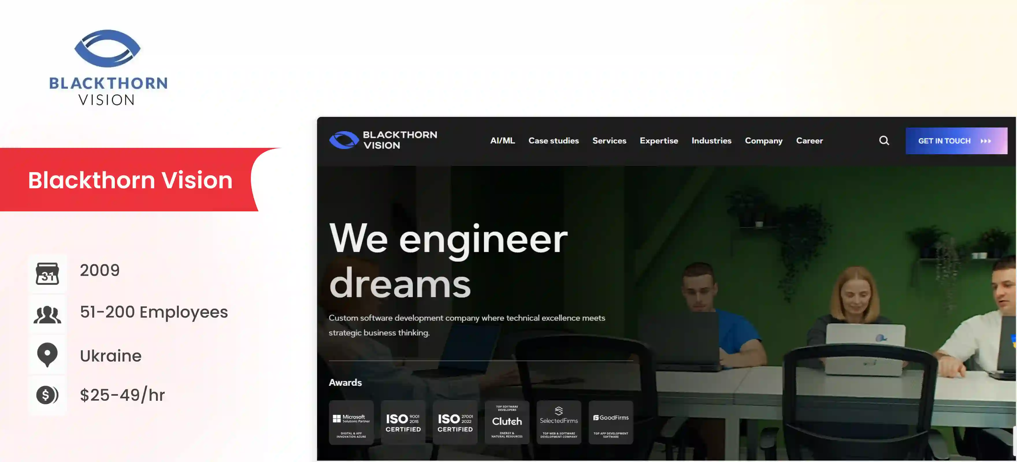 .NET Software Development Company Blackthorn Vision