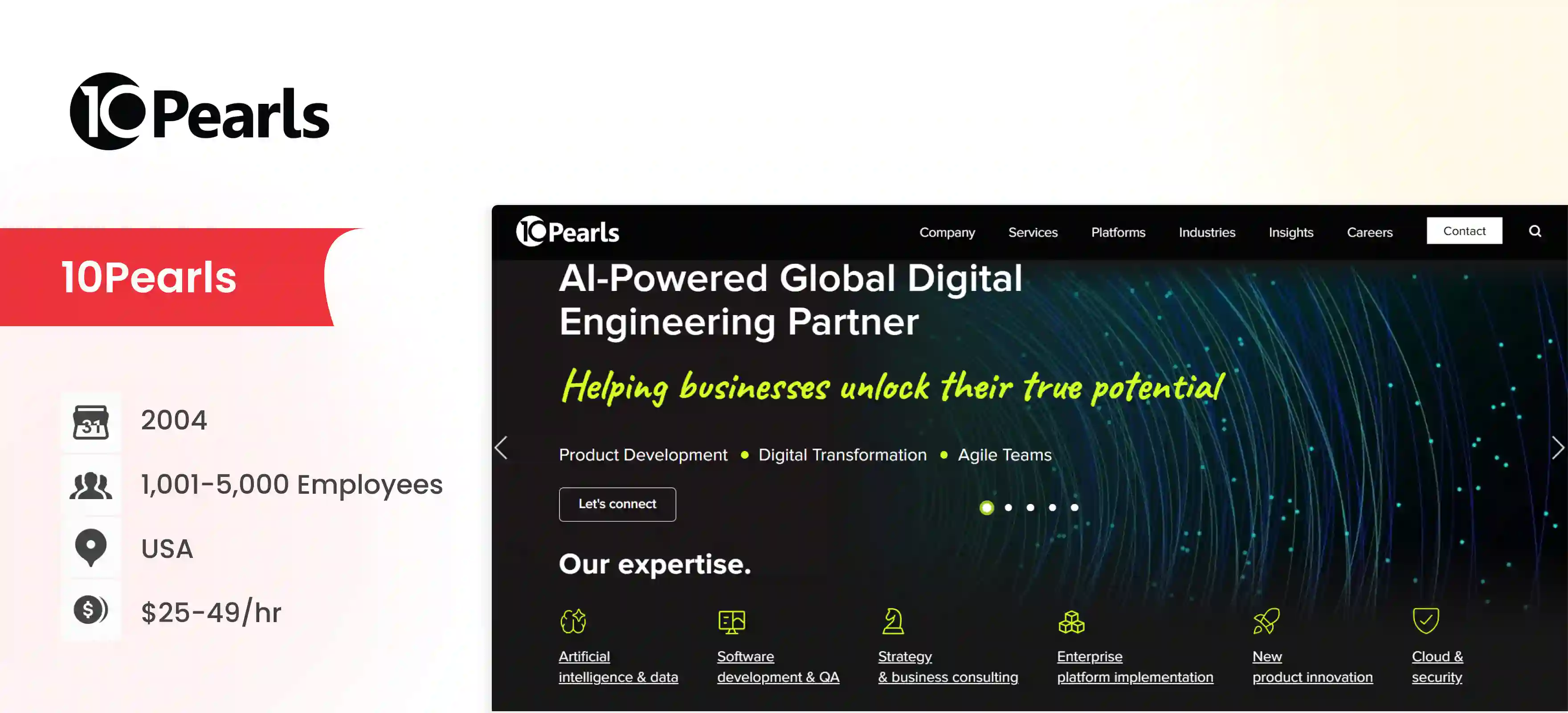 .NET Software Development Company 10Pearls