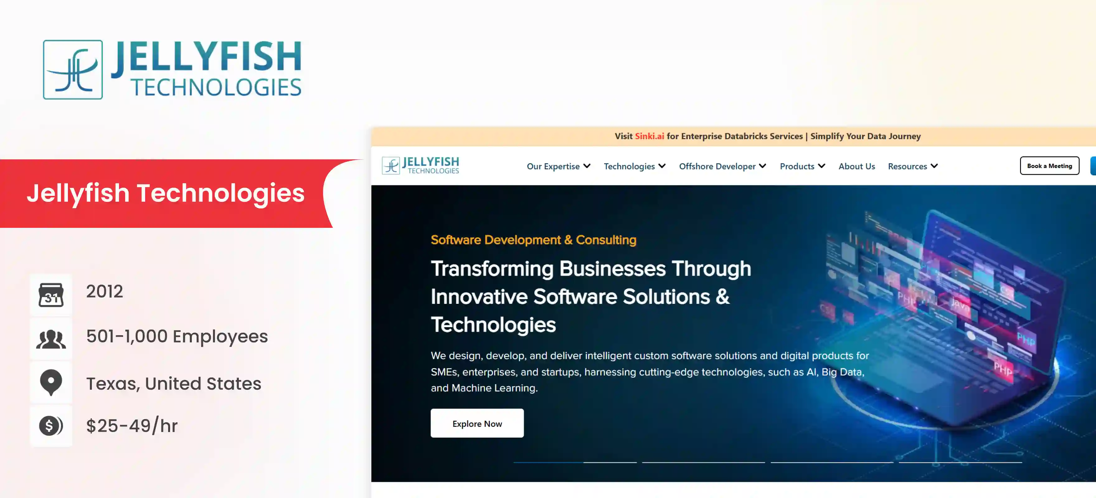 Django Development Company Jellyfish