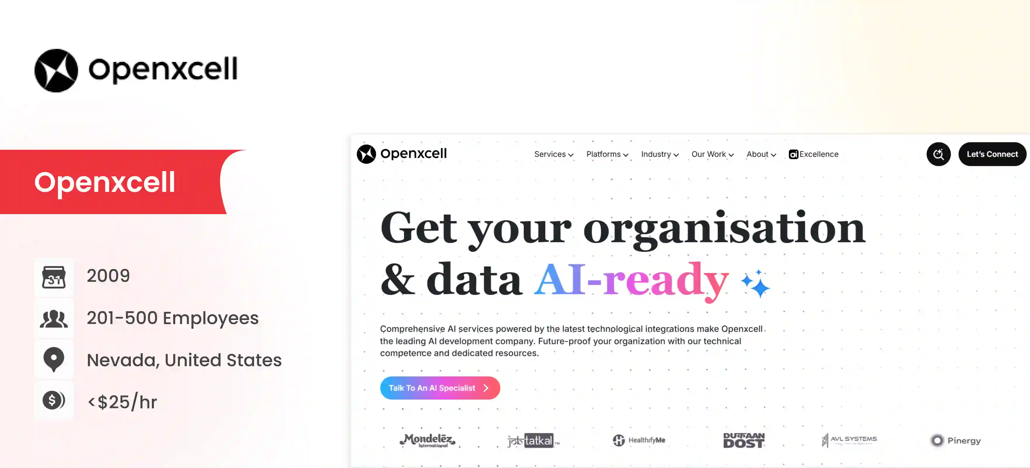 VueJS Development Company OpenXcell