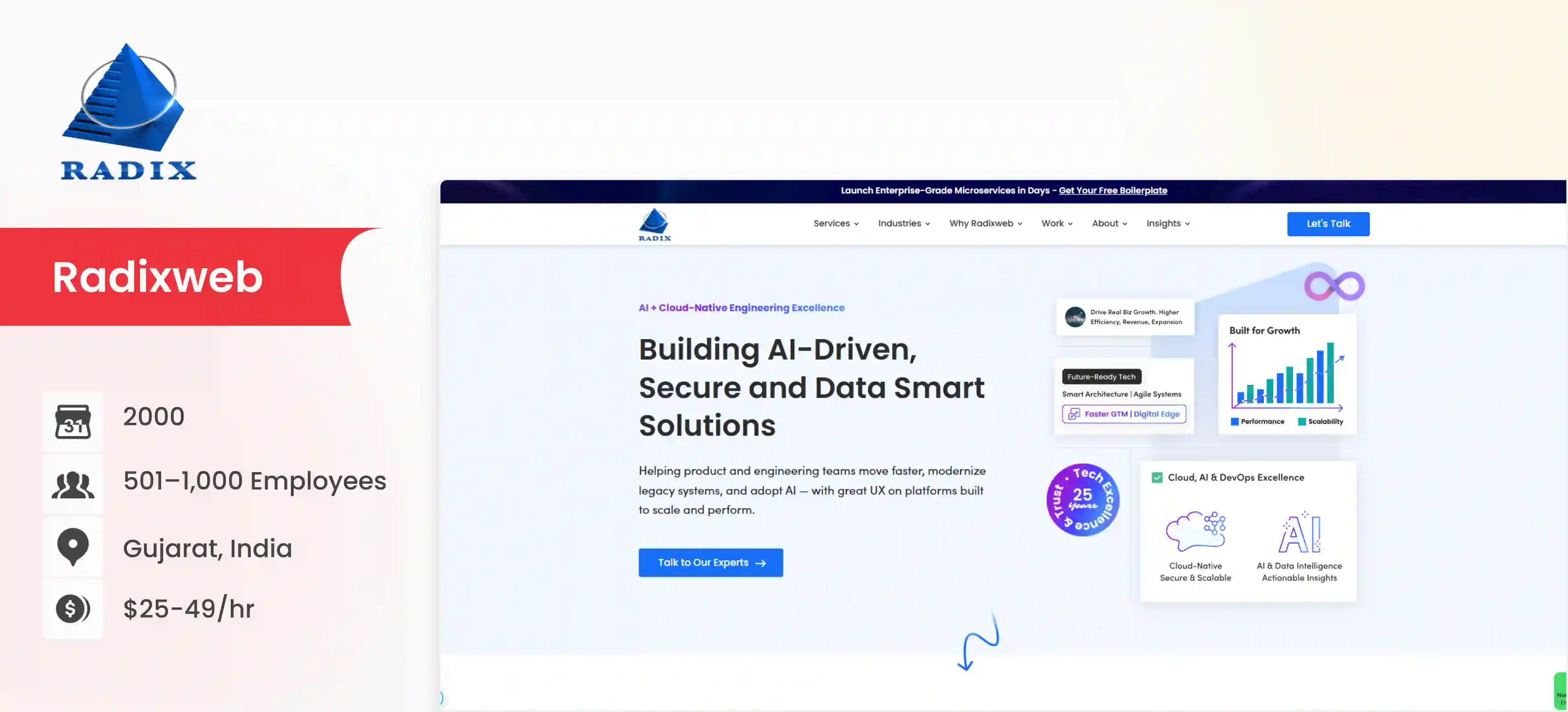VueJS Development Company RaixWeb