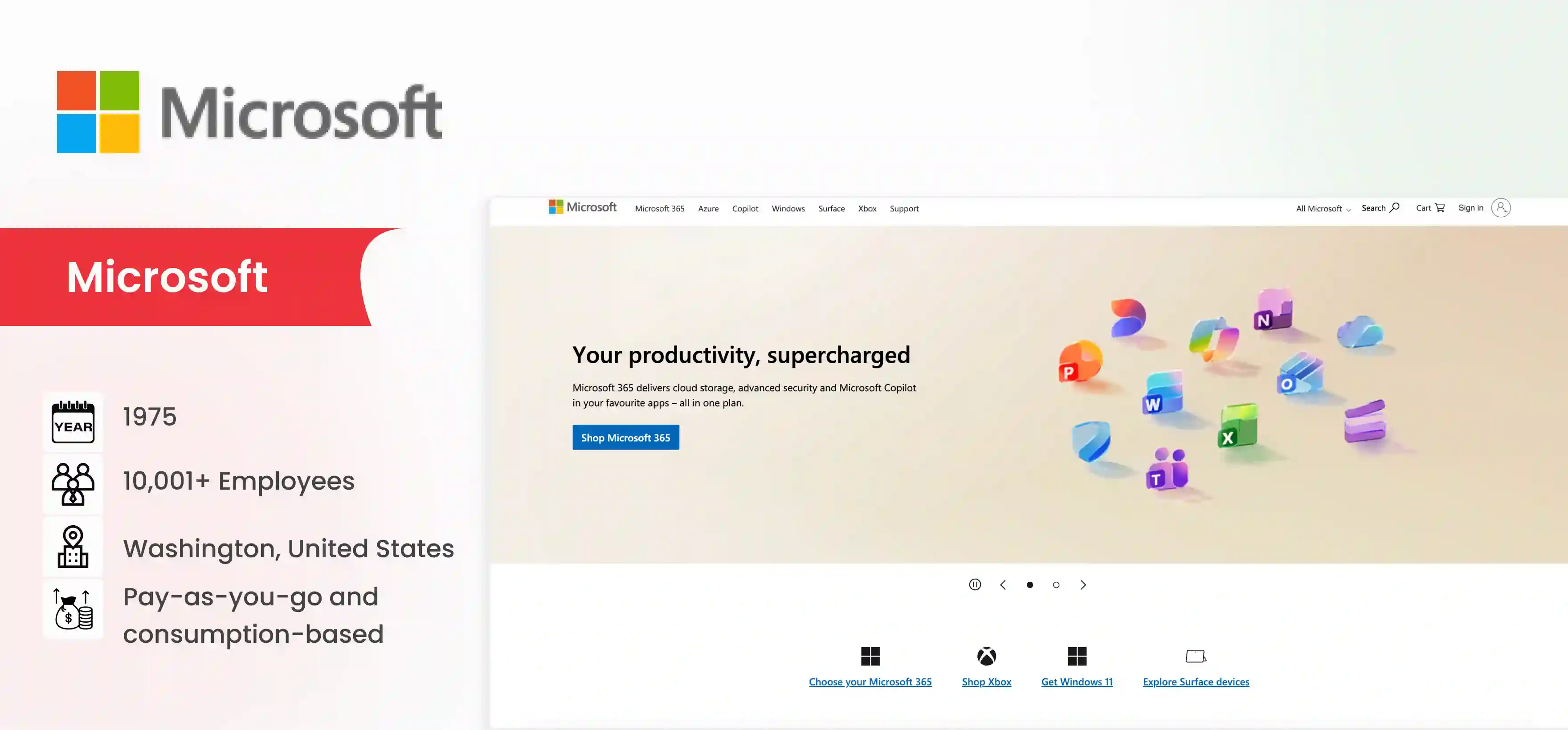 AI Platform Company Microsoft
