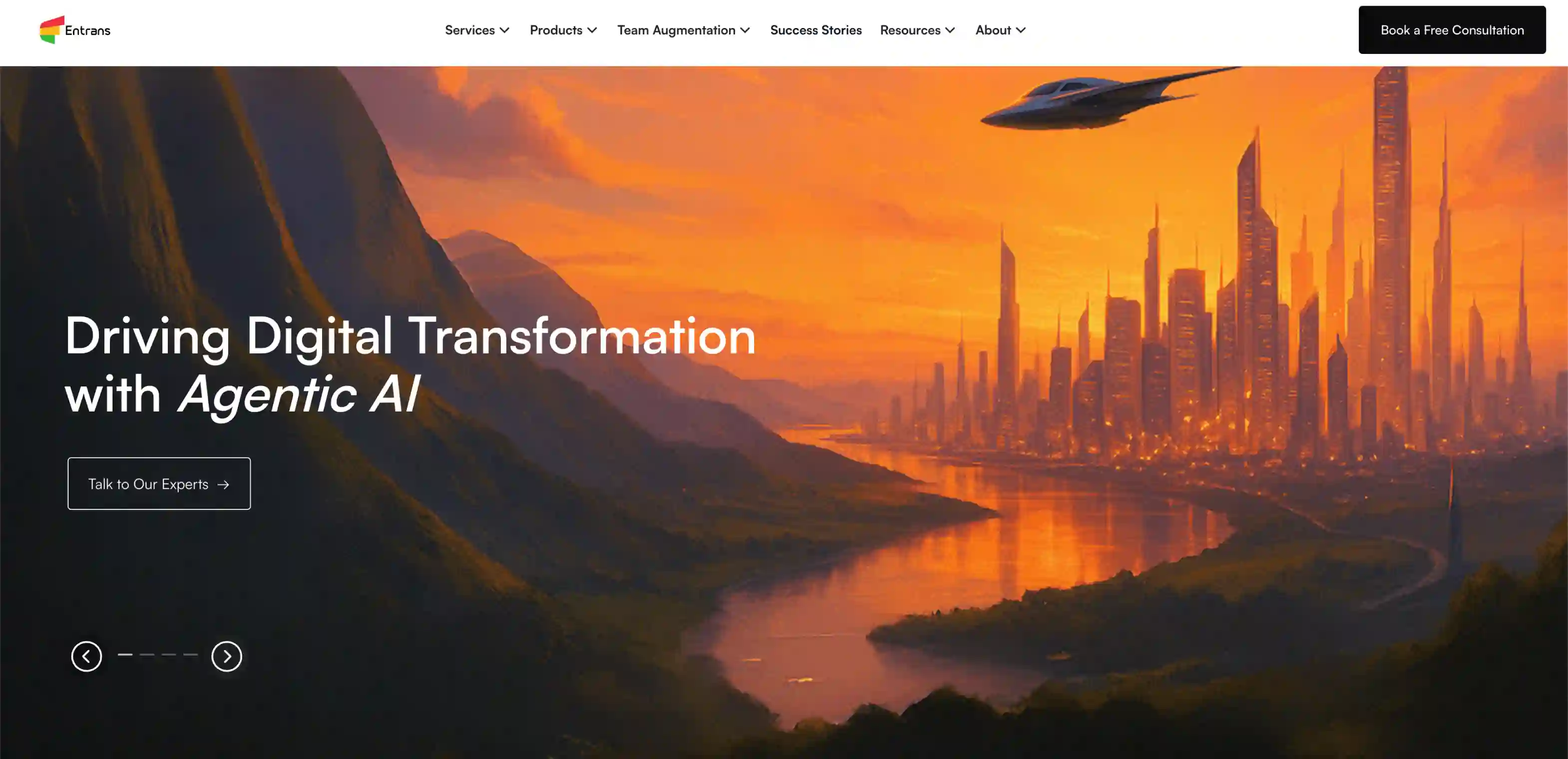 Website Design Company in New Jersey Entrans