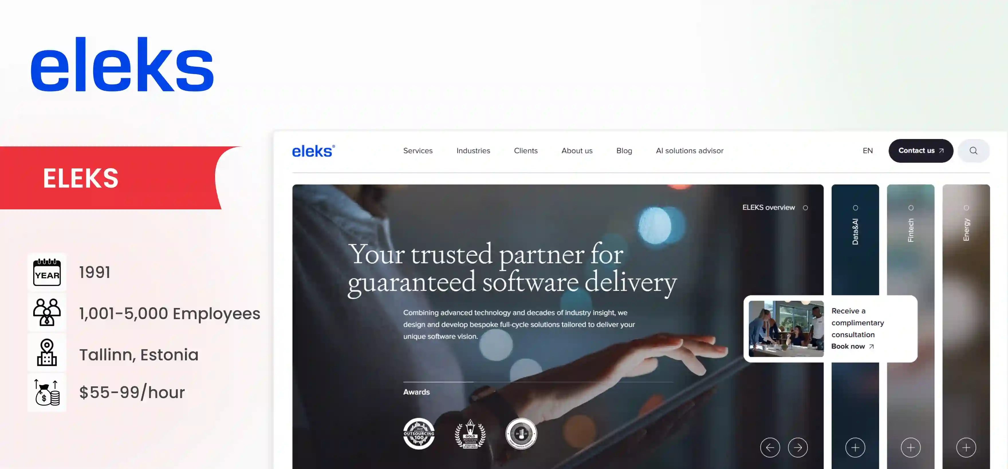 Netguru Alternative ELEKS
