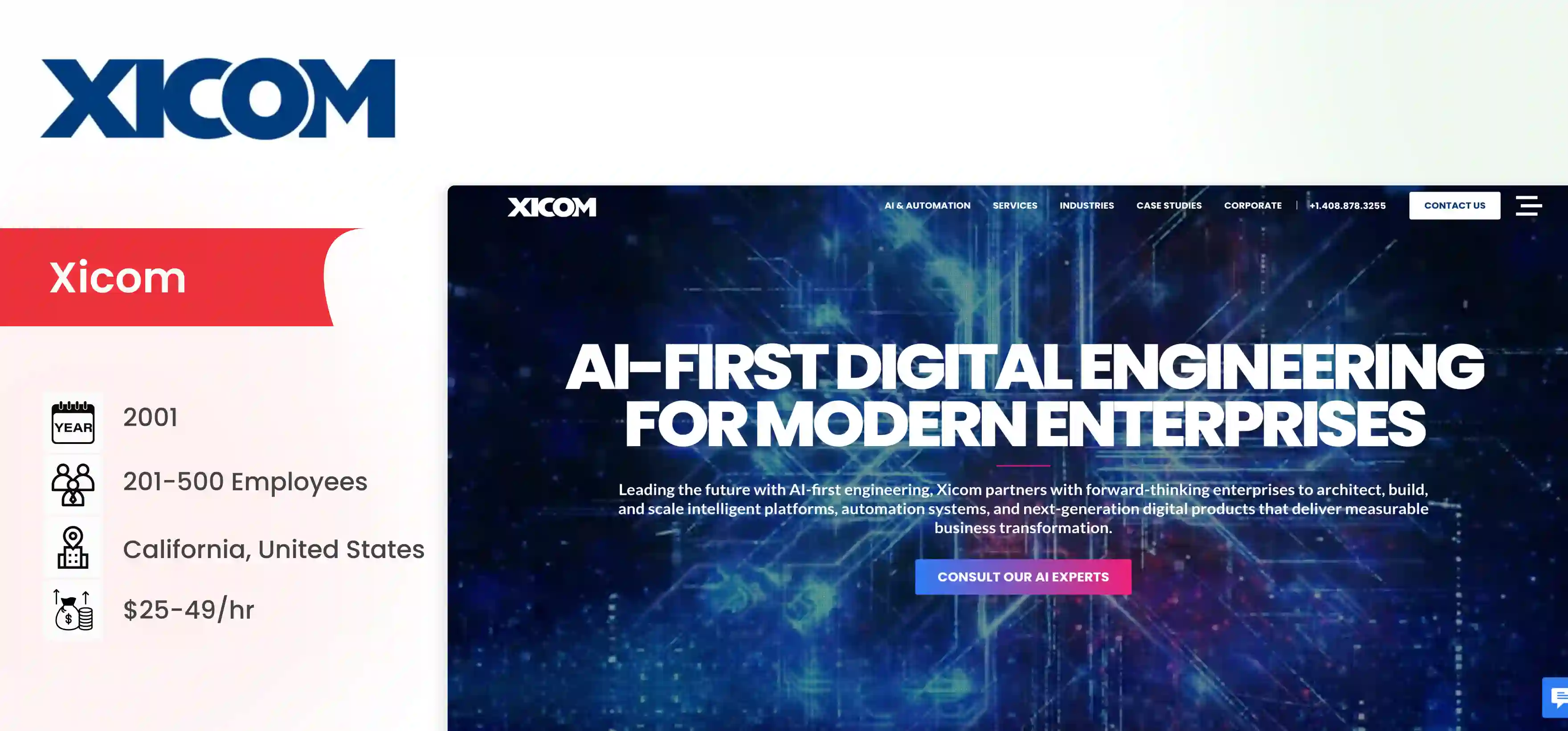 Netguru Alternative Xicom