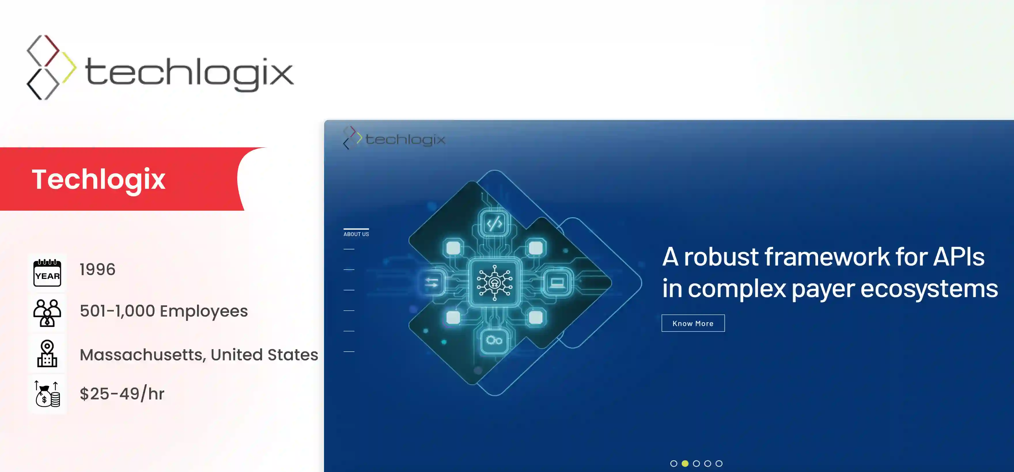 Netguru Alternative Techlogix