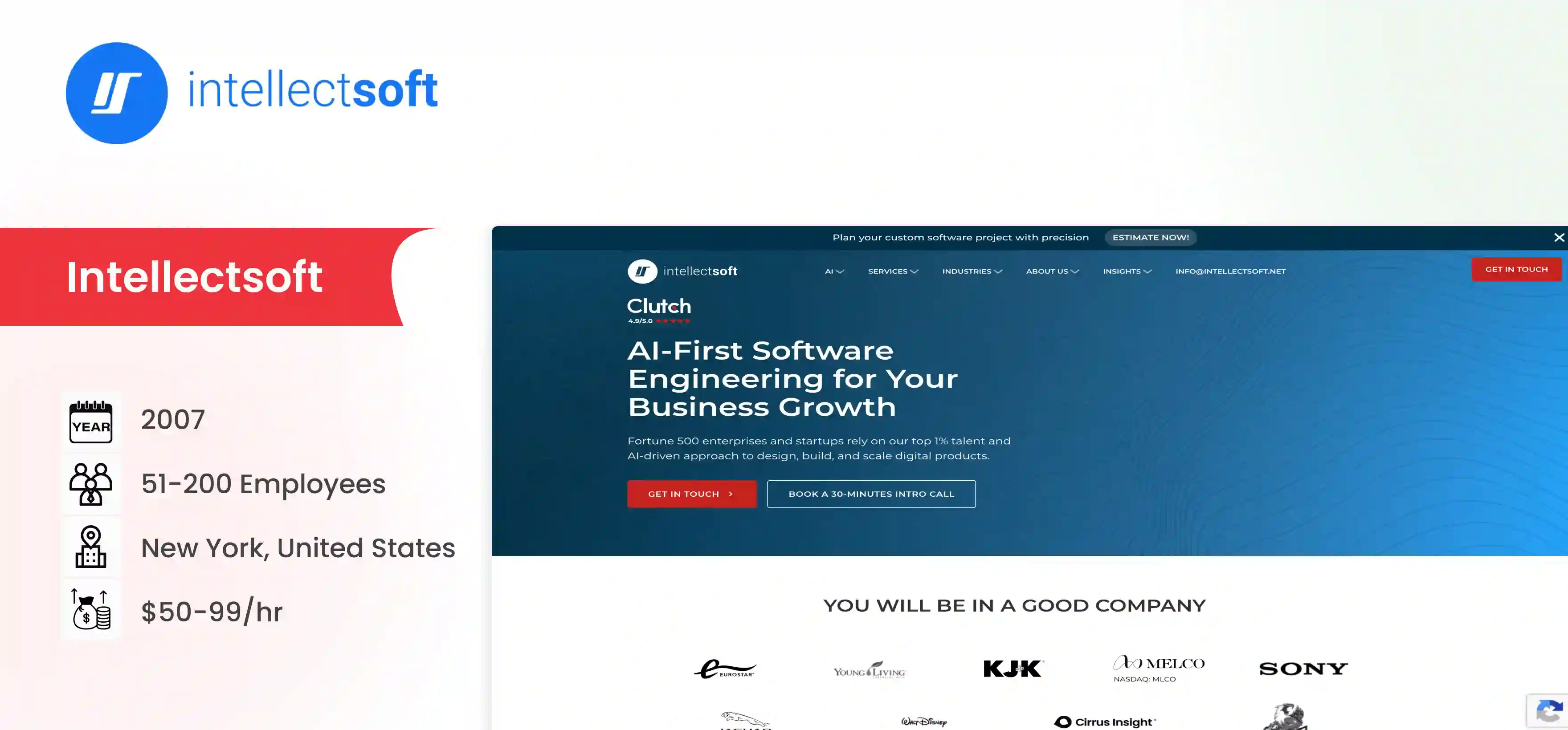 CTO as a Service Company Intellectsoft