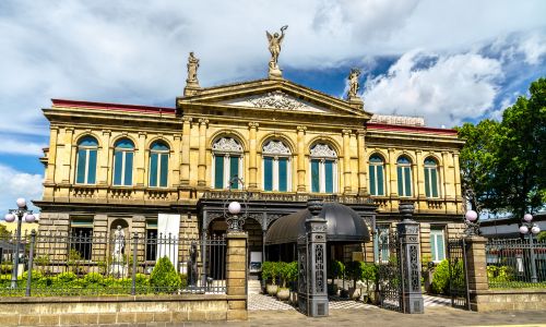 image of rescue animals