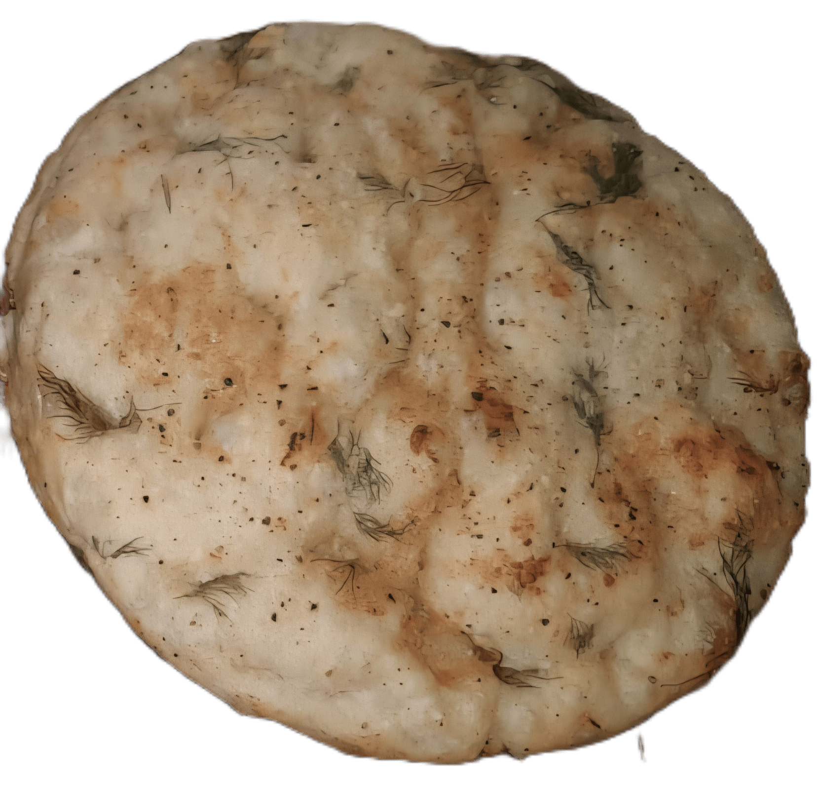 Foccasia: Lemon and Dill